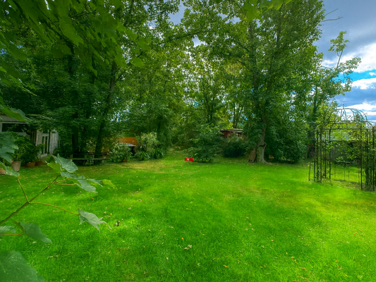 Weitläufiger Garten mit altem Baumbestand