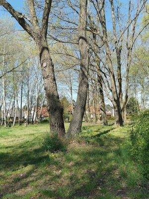 Park gleich in der Nähe.jpg