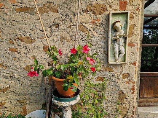 74LAzienda_ agricola_Toskana.jpg