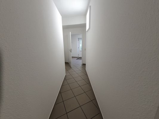 20230904_173347.jpg