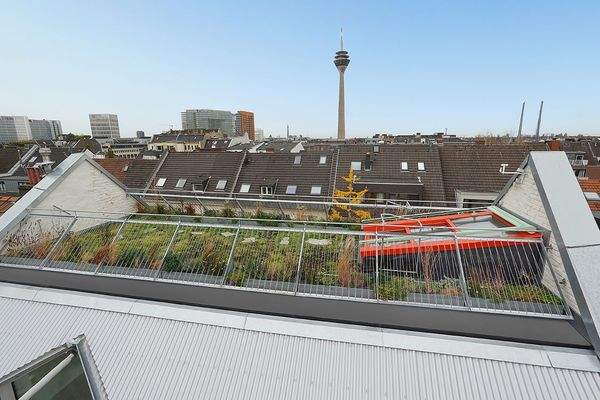 Der einmalige Rundumblick