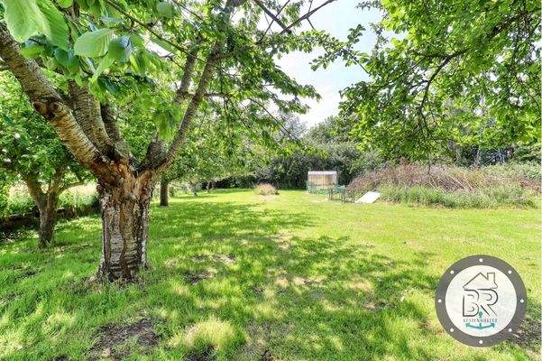 Grünfläche vom Haus A