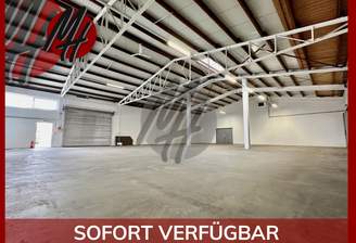 INFOS UNTER: 06171-586000