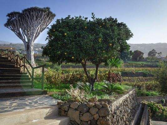 WhatsApp Image 2025-05-01 at 12.49.04.jpeg