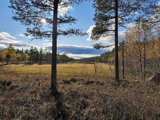 See am Sägewerk 1.jpg