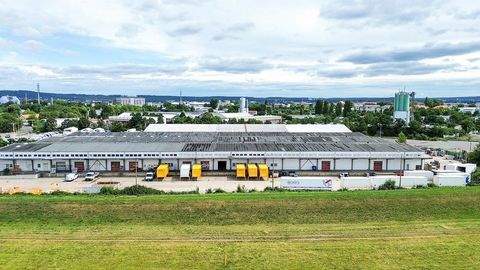 Dresden Halle, Dresden Hallenfläche