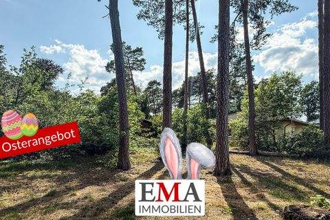 Schönwalde-Glien Grundstücke, Schönwalde-Glien Grundstück kaufen