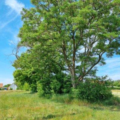 Baugrundstück Bild 5