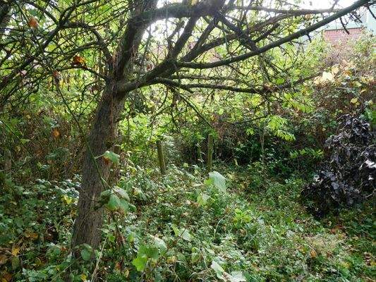 Gieslarer Straße 300010 - Kopie.jpg