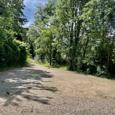 Bild 19