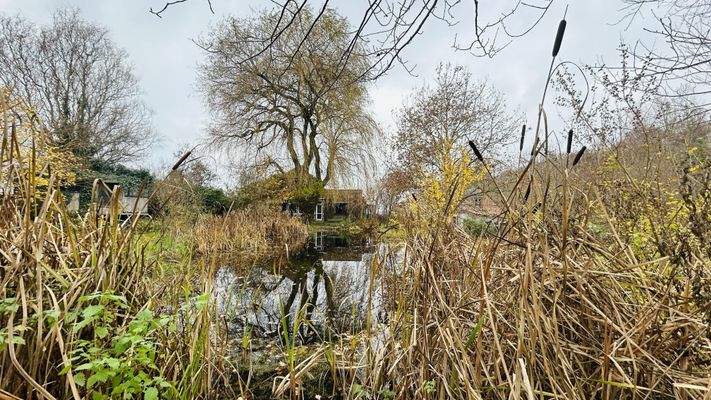 Teich mit Blick auf das Haus