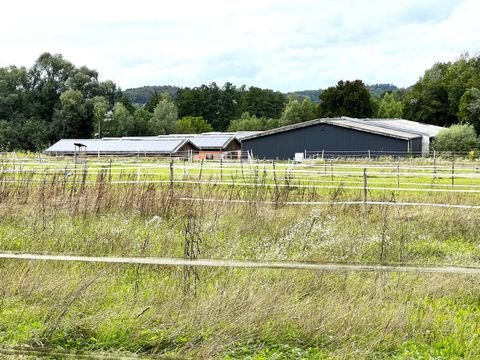 Konstanz Bauernhöfe, Landwirtschaft, Konstanz Forstwirtschaft