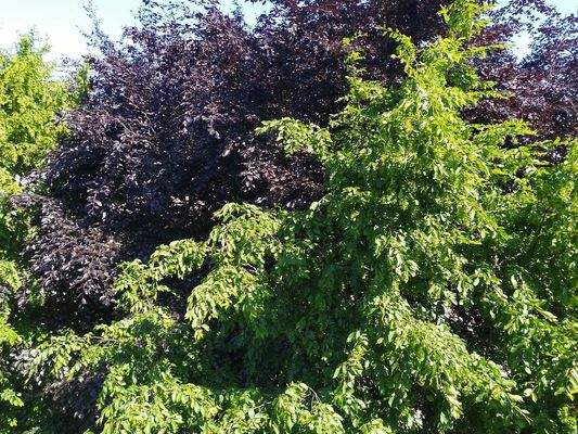 Ausblick vom Fenster des Schlafzimmers 