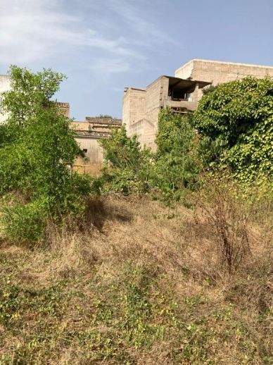 Porreres Häuser, Porreres Haus kaufen