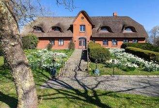 Hollandhof Narzissen.jpg