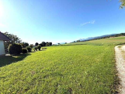 in ruhiger Ortsrandlage