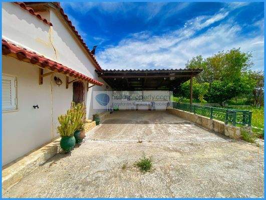 12d406b5e5ed45fa8a101035ac504ff7-original