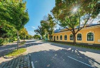 DSC08191-HDR copy 2_bearb