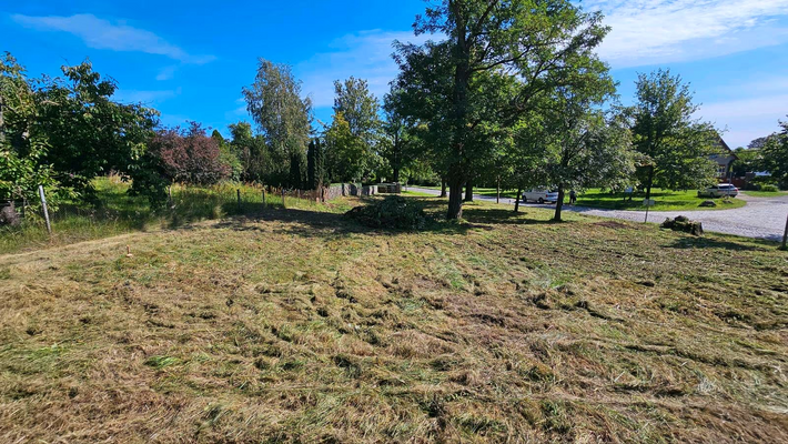 b6d82fae-caee-492b-91b5-08cc5845a630