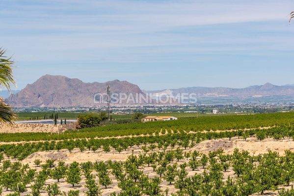 Detached Villas Near the Amenities in Algorfa Alicante