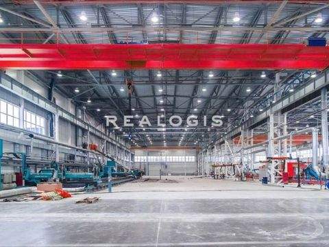 Haag in Oberbayern Halle, Haag in Oberbayern Hallenfläche