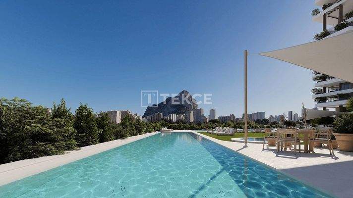 Luxury Apartments Near Beach in Calpe