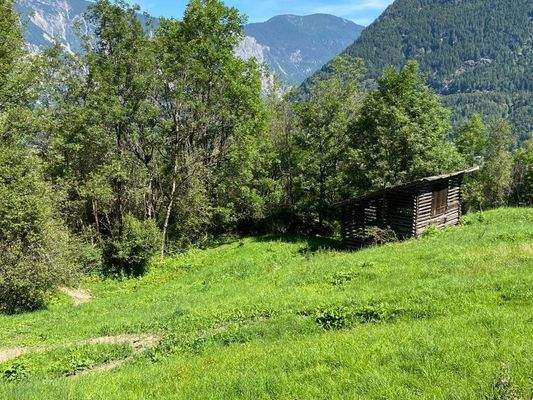 Landwitschaftliche Grundfläche mit Feldstadel
