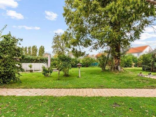 Grundstücksansicht 5