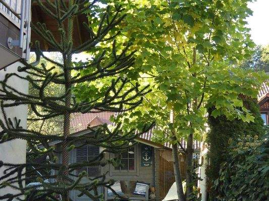 Weg Richtung Eingang