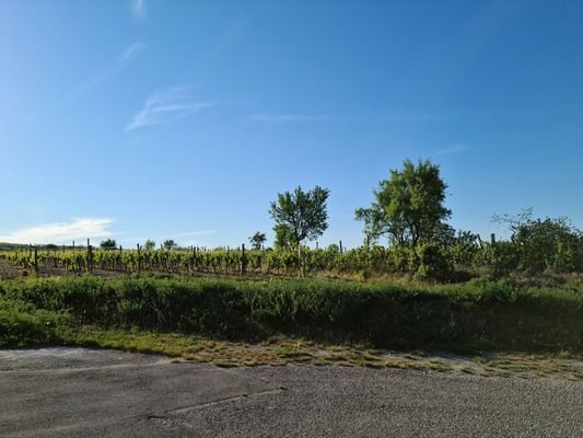 Bild 13