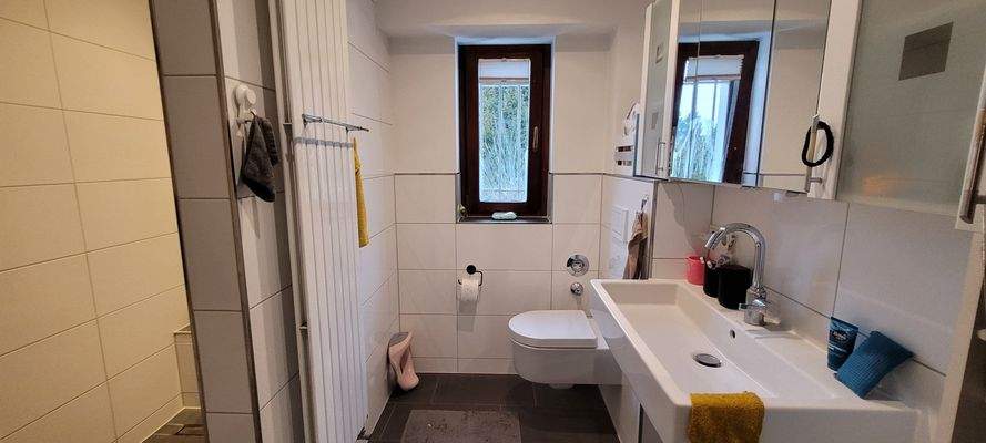 Badezimmer mit Dusche.jpg