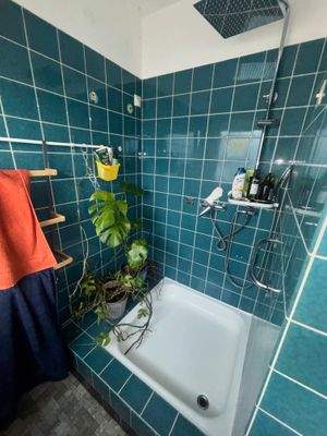 Badezimmer Nr. 2 Bild Dusche.jpeg