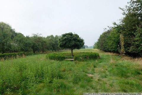 Winsen Grundstücke, Winsen Grundstück kaufen