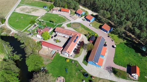 Krzyz Bauernhöfe, Landwirtschaft, Krzyz Forstwirtschaft