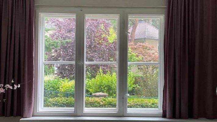 Blick vom WZ zur Straße