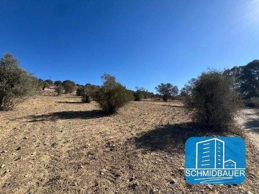 Kreta, Pitsidia: Grundstück mit Baugenehmigung für drei Luxusvillen zu verkaufen