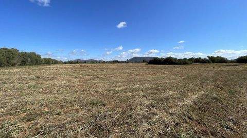 Llucmajor Grundstücke, Llucmajor Grundstück kaufen