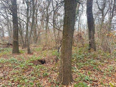 Erftstadt Bauernhöfe, Landwirtschaft, Erftstadt Forstwirtschaft