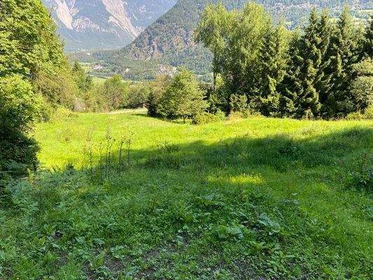 Landwitschaftliche Grundfläche