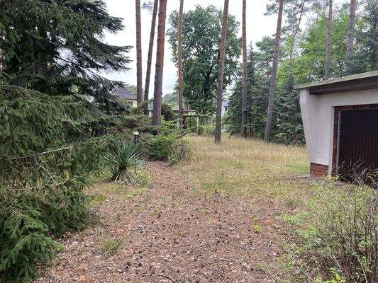 Blick auf das Flurstück Nr. 90