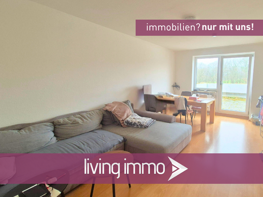 Vorlage Startbild Normal Logo und Fenster living immo Farbe(41)