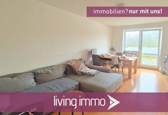 Vorlage Startbild Normal Logo und Fenster living immo Farbe(41)