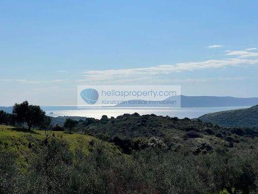 8fb7ca1273b743848a3b48621f594987-original