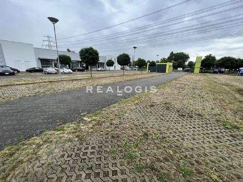 Reinfeld Halle, Reinfeld Hallenfläche