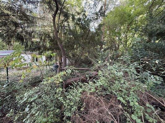 Blick zum zweiten Flurstück, Ansicht3
