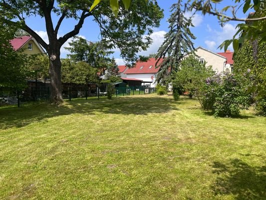 Garten V.JPG