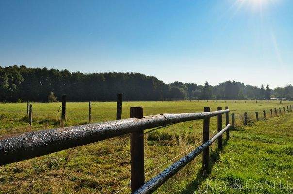 arrondiertes Weideland 