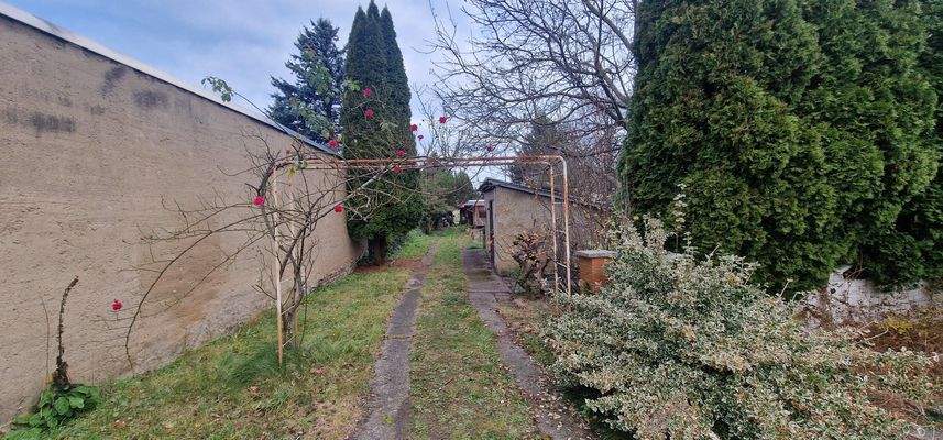 Blick Richtung Garten