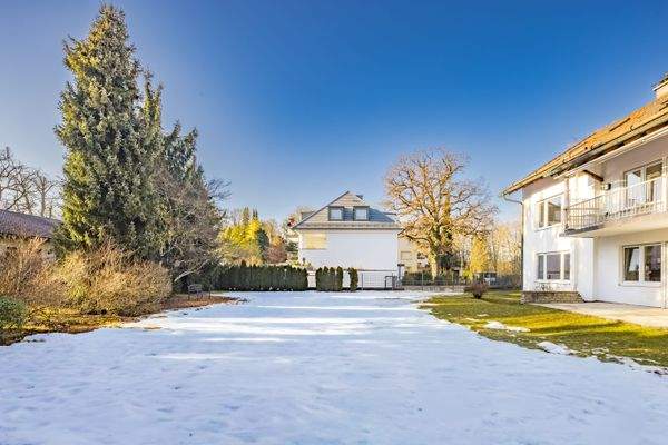 Ausgezeichneter Schnitt