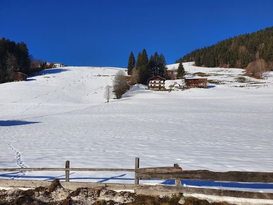 Bild 19
